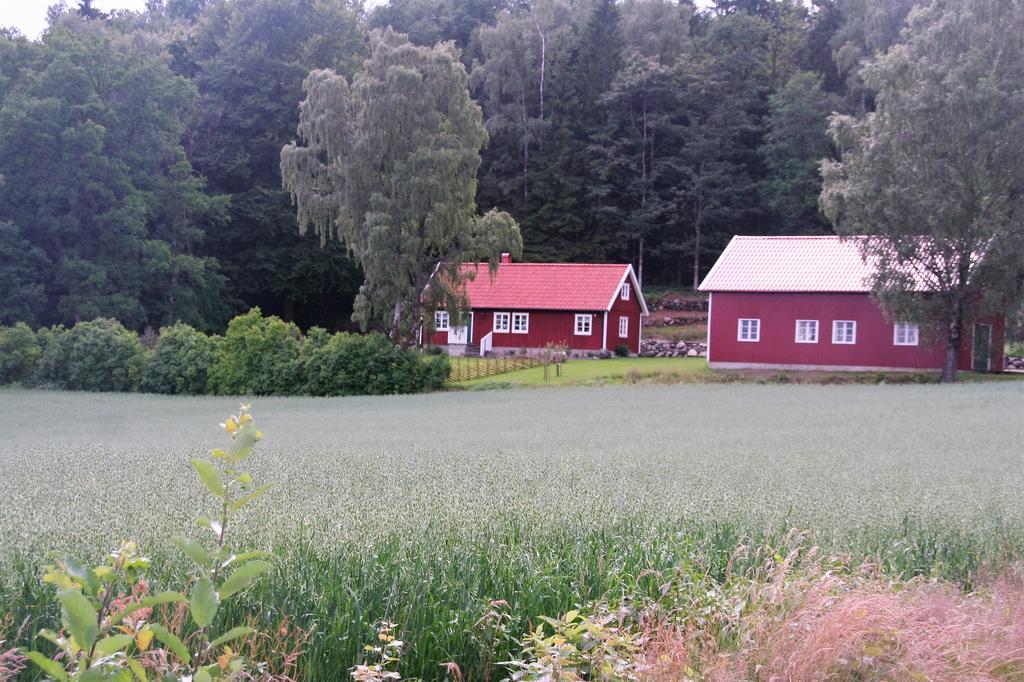 Wraen Svartrå Exteriér fotografie